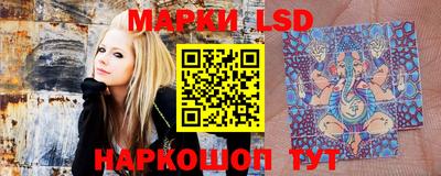 шишки Бузулук