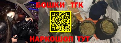 МДПВ Будённовск