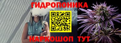 МДПВ Будённовск