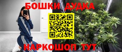 МДПВ Будённовск