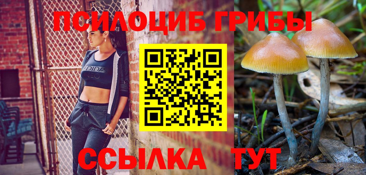Псилоцибиновые грибы Magic Shrooms  Вход с VPN  как найти наркотики  Саров 